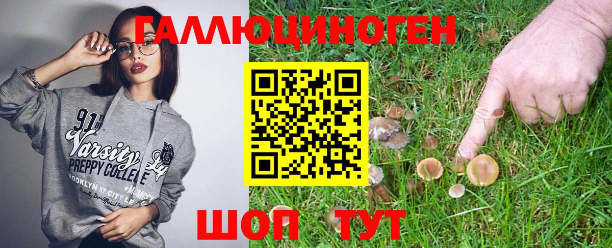 Псилоцибиновые грибы Psilocybe  Псилоцибиновые грибы MAGIC MUSHROOMS  Буйнакск  Вход с VPN 